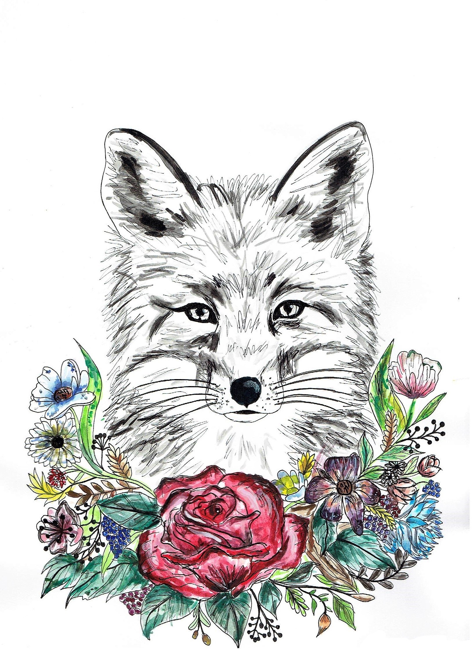 A fox veronica 