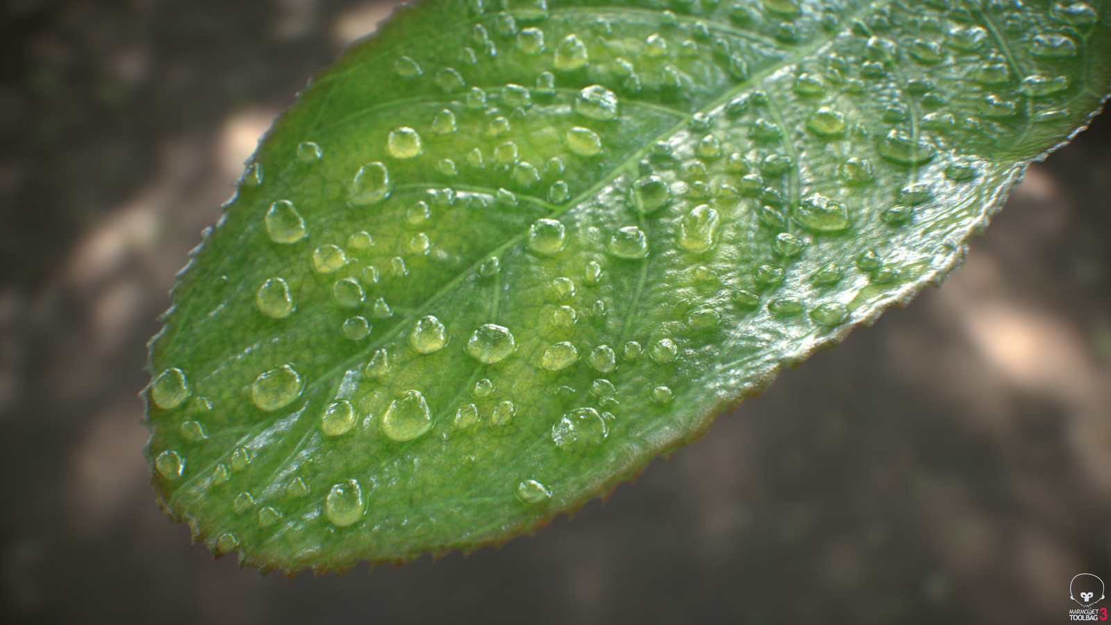Both the droplets of water and the cells on the leaf were created with the Poisson node