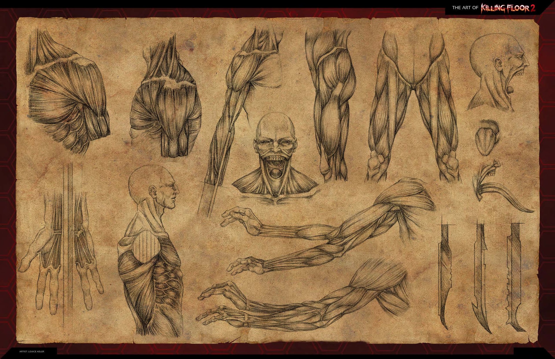 ArtStation Killing Floor 2 Gorefast Anatomy