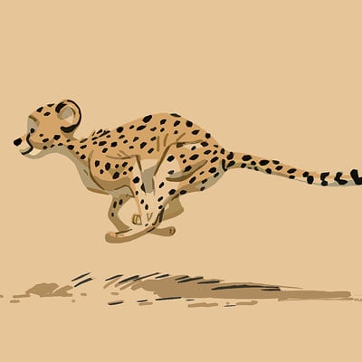 Gabriele pennacchioli cheetah001