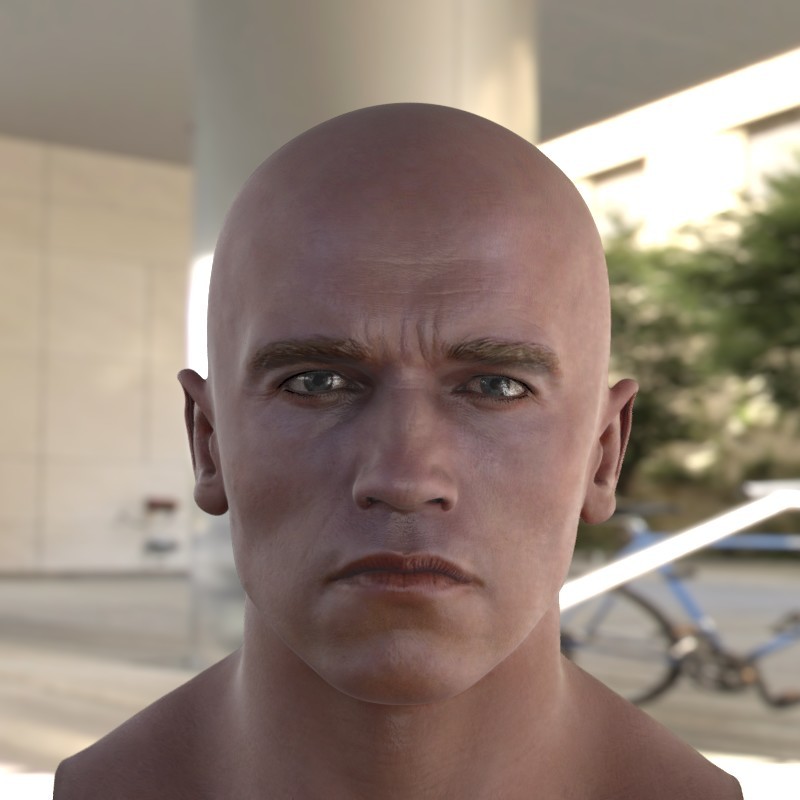 Artstation 3d Model Arnold Schwarzenegger Head Stephan Plotnicov