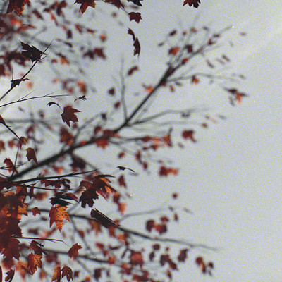 Autumn