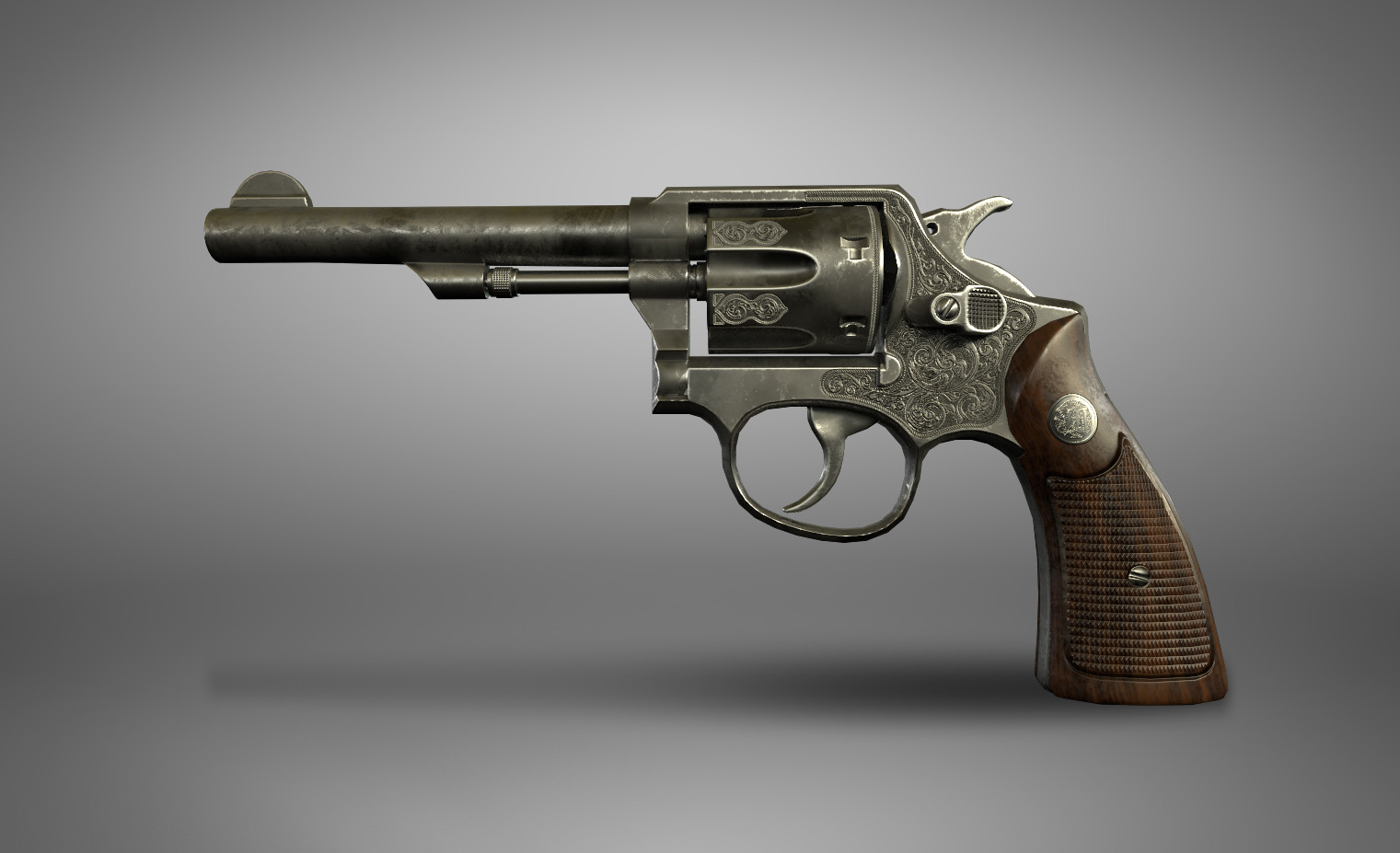 Smith and Wesson 10