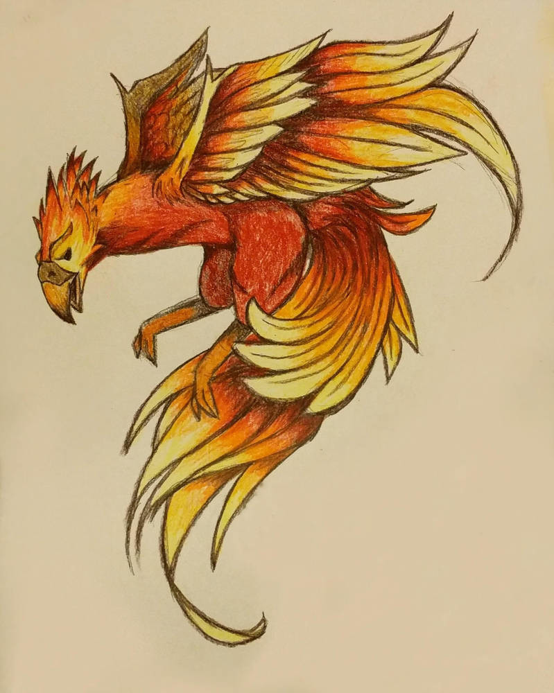 Drawing sketch style illustration of a phoenix rising up from fiery flames,  wings raised for flight set on isolated white background. - SuperStock