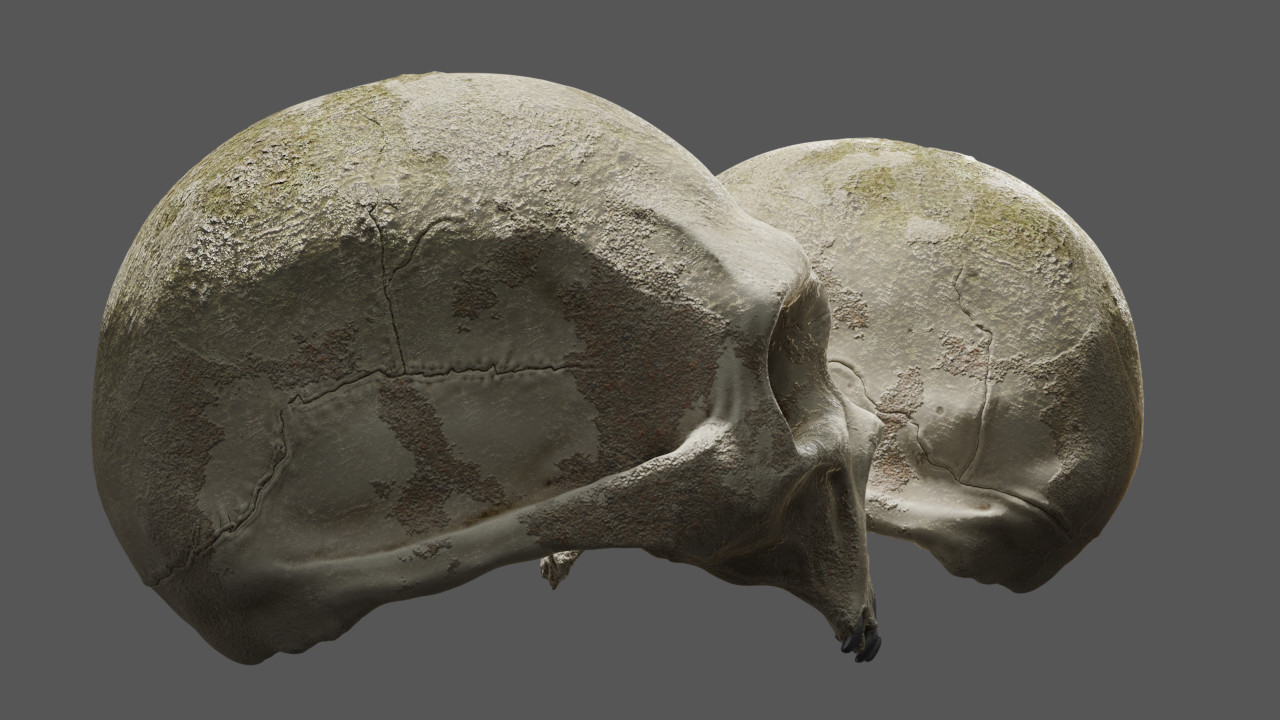 Raw_Render