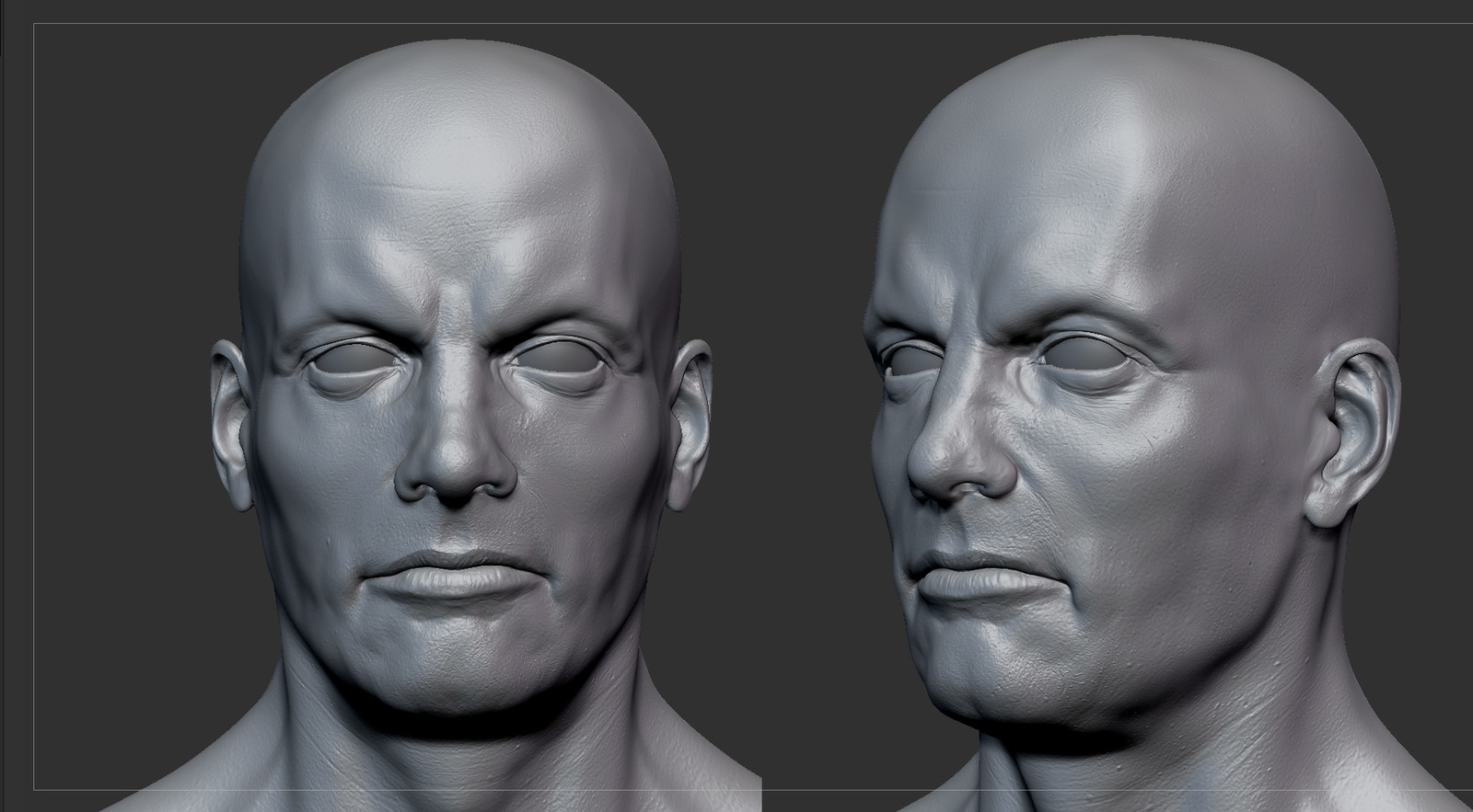 Paul Zbrush Screenshots 
First they are a adorable sphere and then they are suddenly a all grown up adult