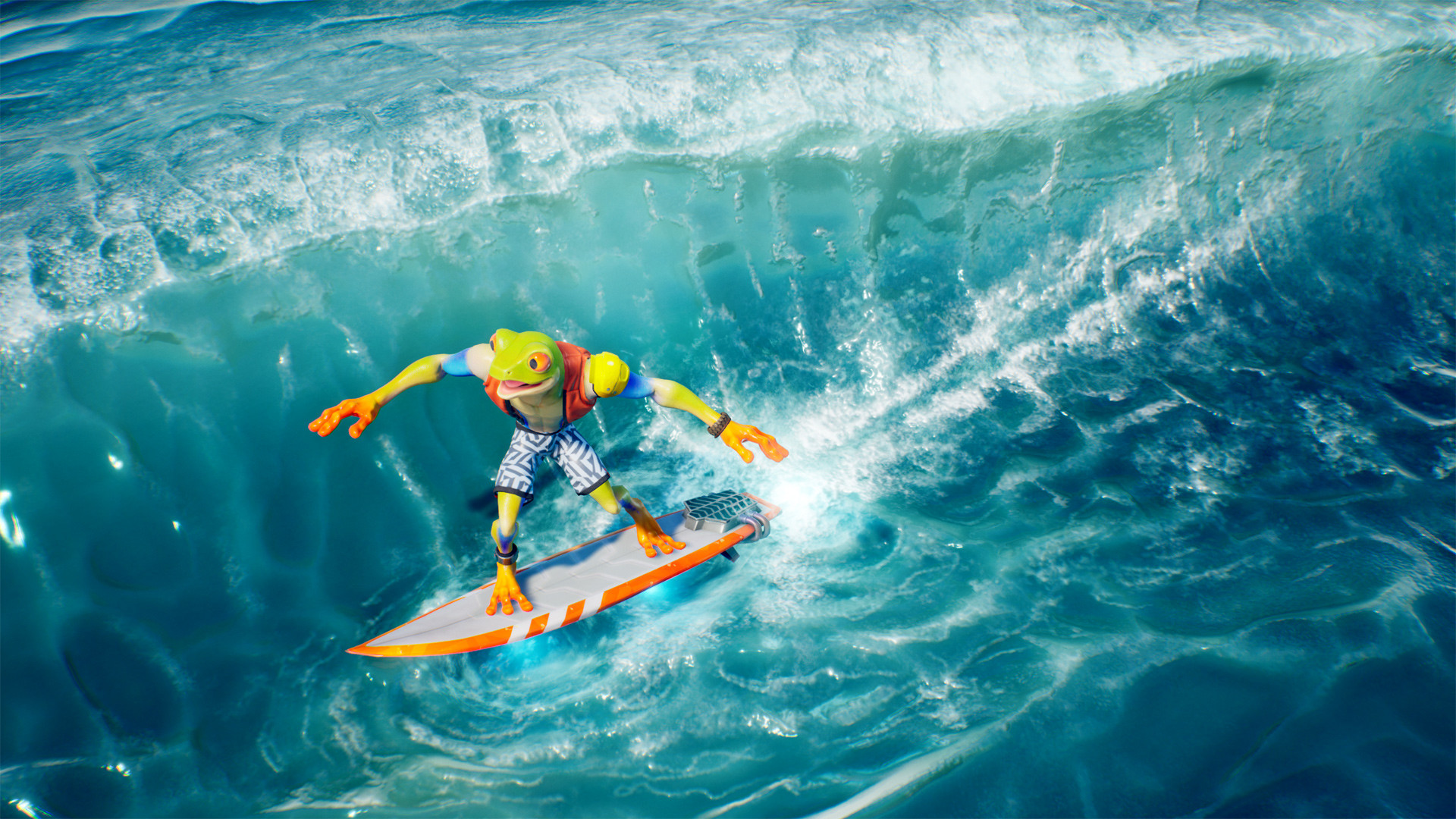 Glenn Donaldson Frog Surfer Dude