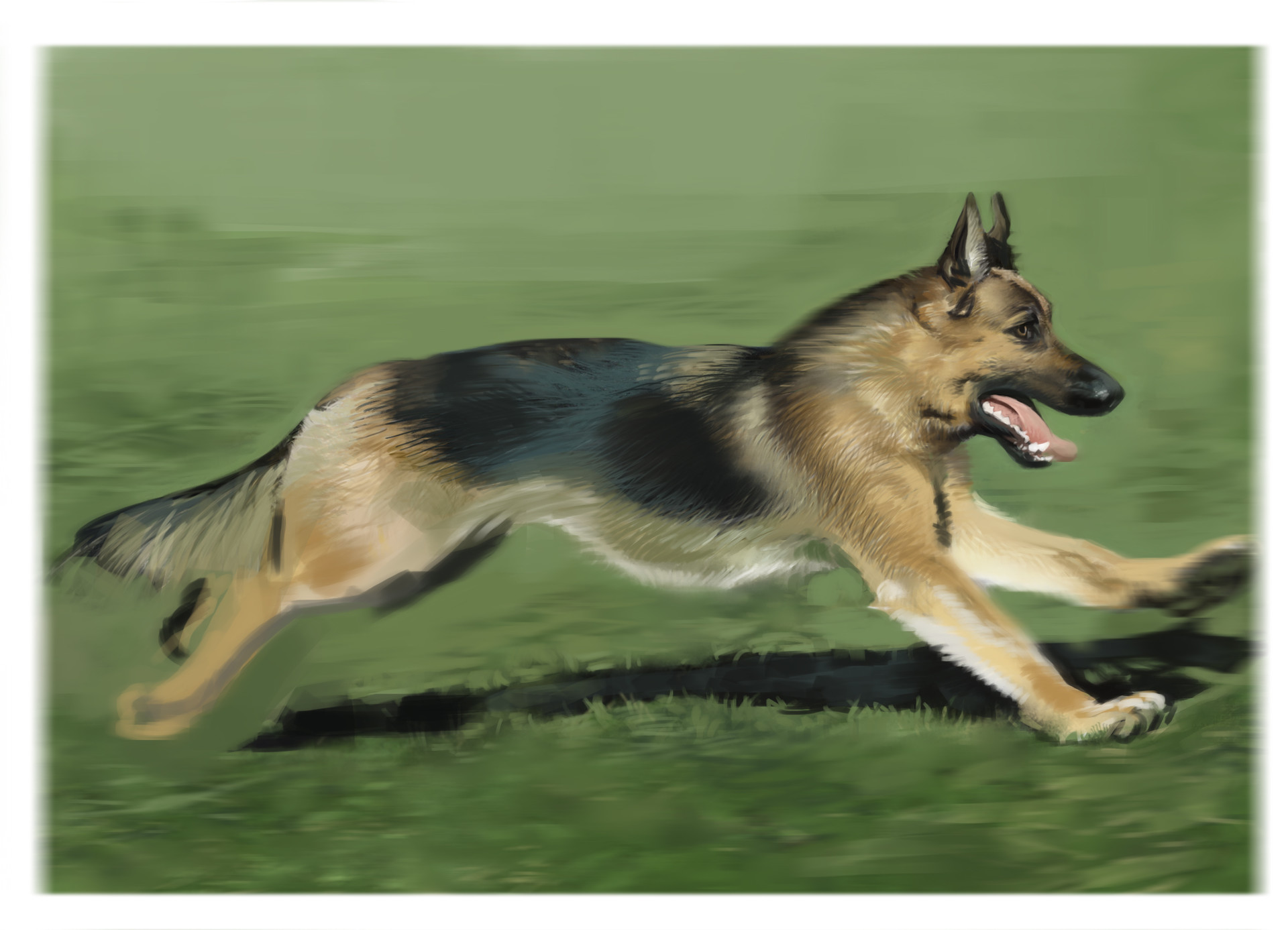 Muharrem Yetis German Shepherd My First Digital Art