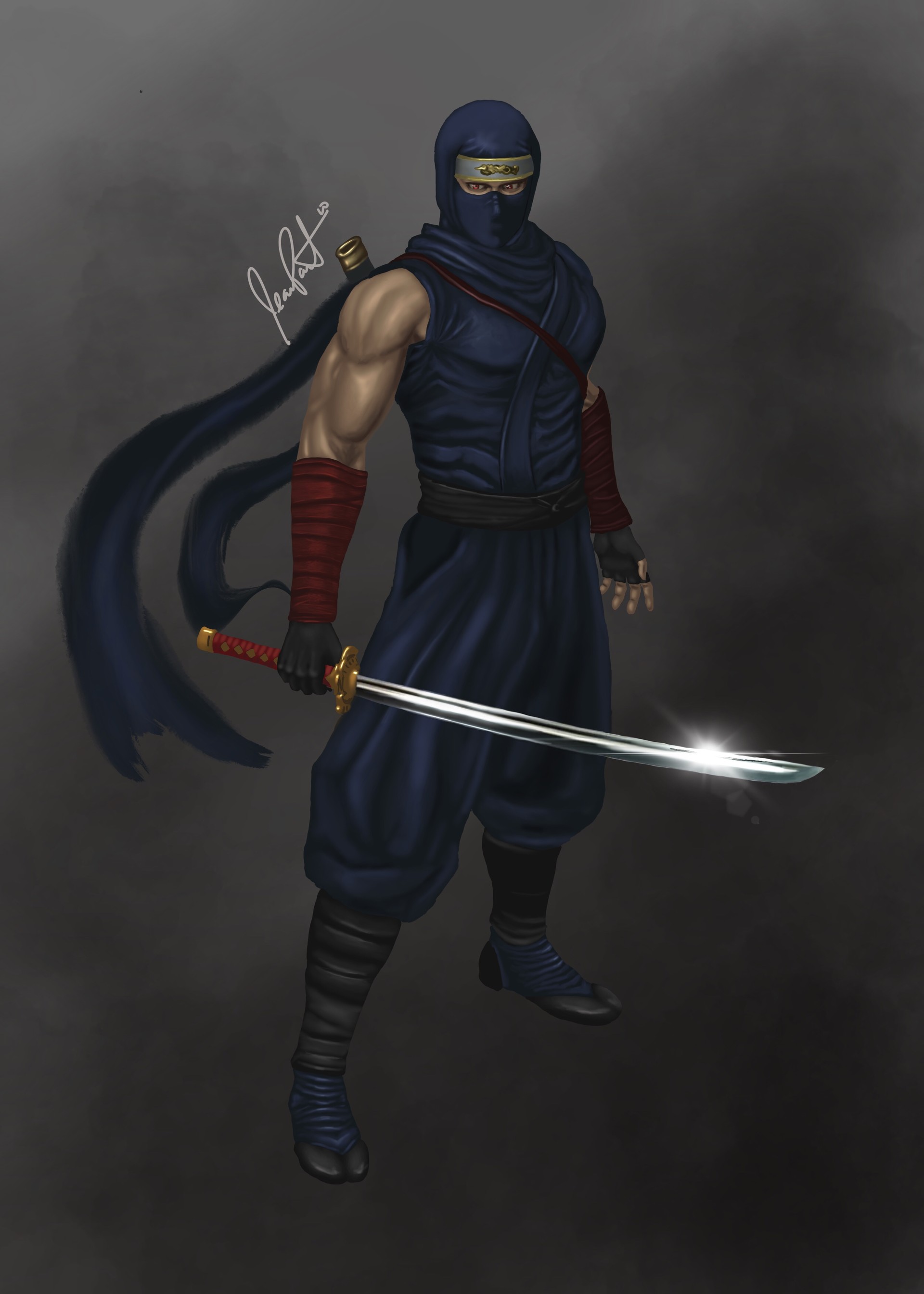 ninja gaiden ryu hayabusa costume