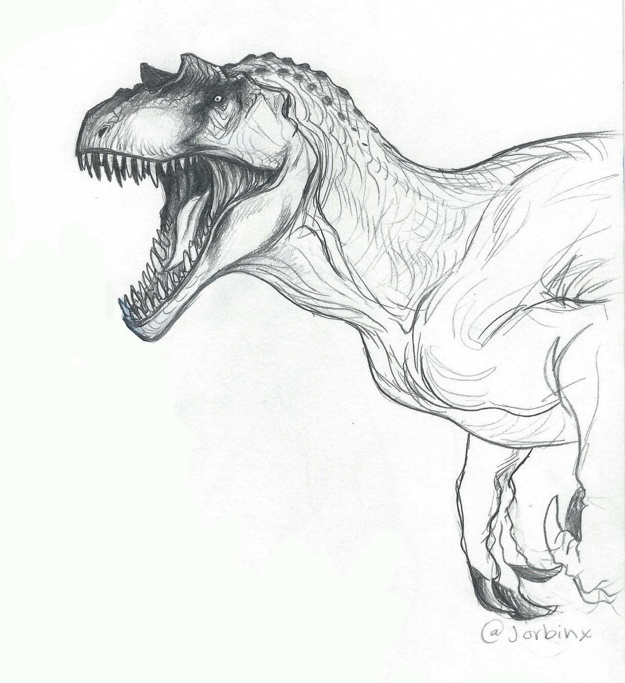 Картинки динозавров нарисовать. Аллозавр референс. Аллозавр скетч. Аллозавр динозавр рисунок. Аллозавр голова.