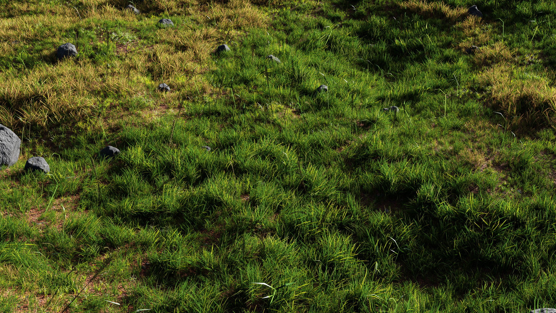 Artstation Grass Meadow Vincent V