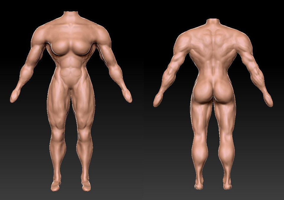 picture Skinny Muscular Body Reference