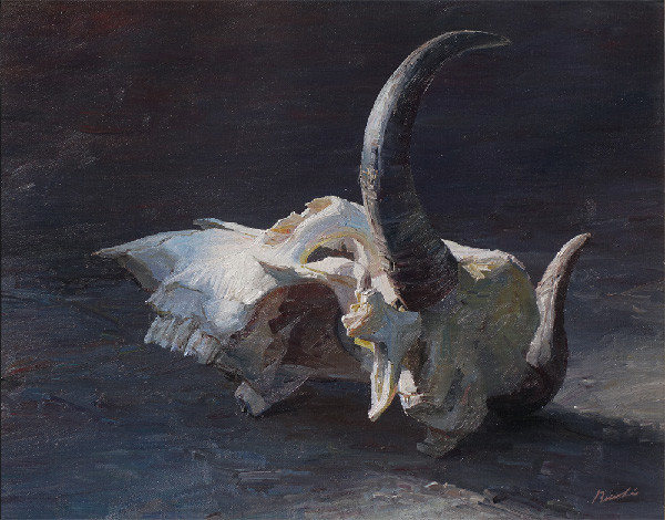 Artstation Skull Ruo Li