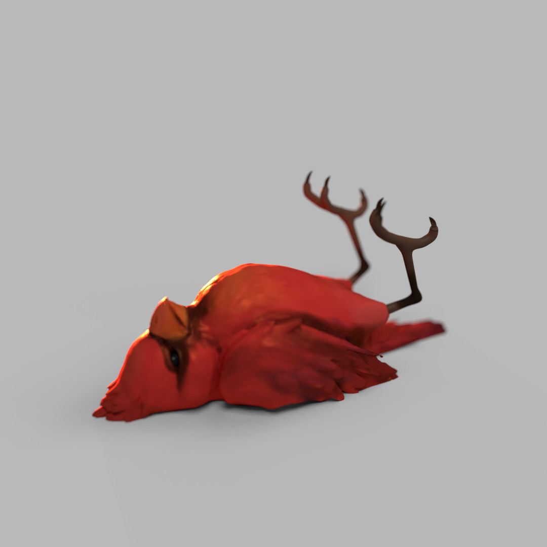 Heru Setiawan - Dead Cardinal