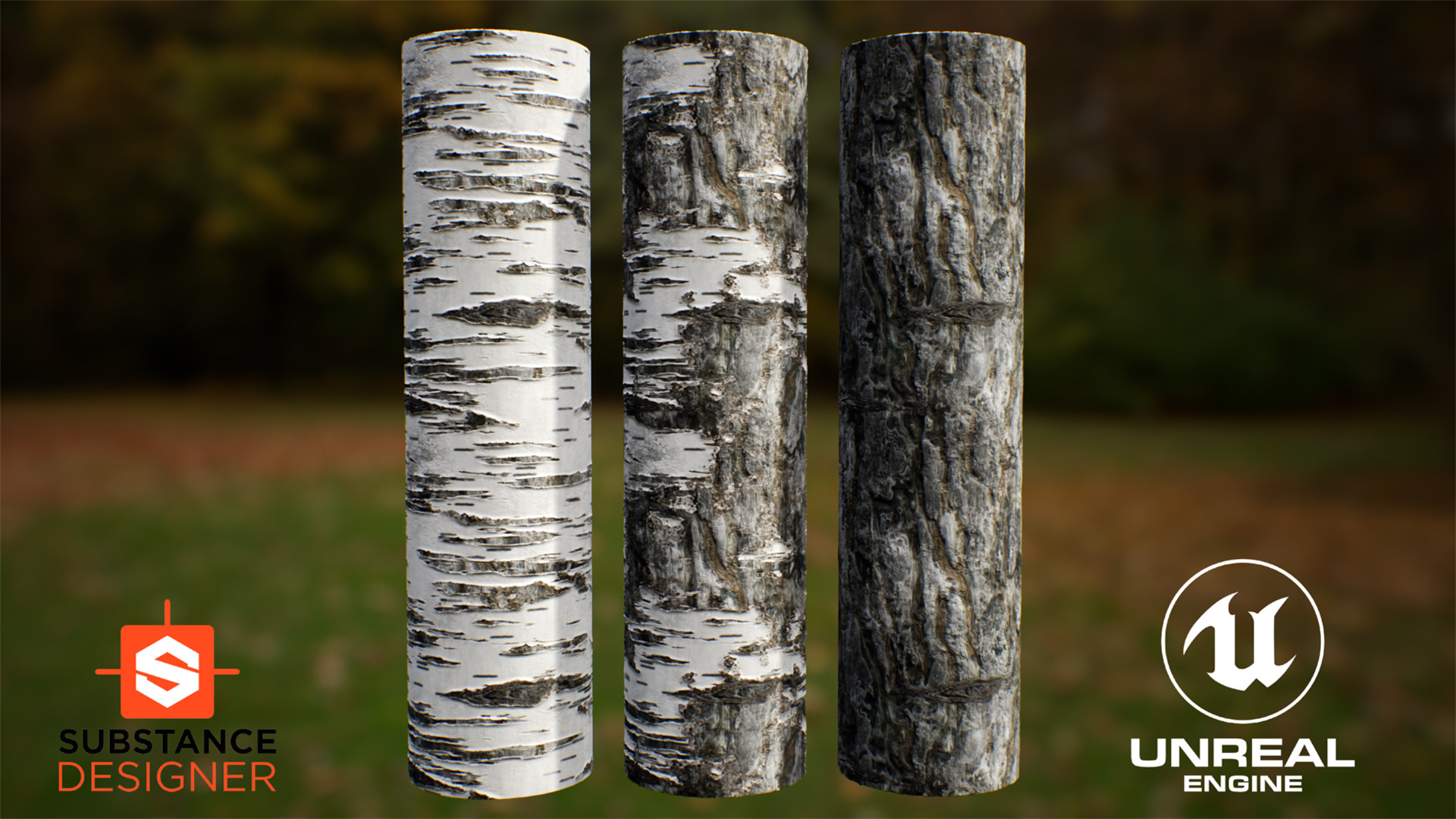 Artstation Substance Designer Procedural Birch Tree Bark