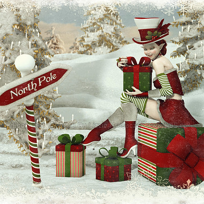 Lizzie prusaczyk d9s co xmas delight