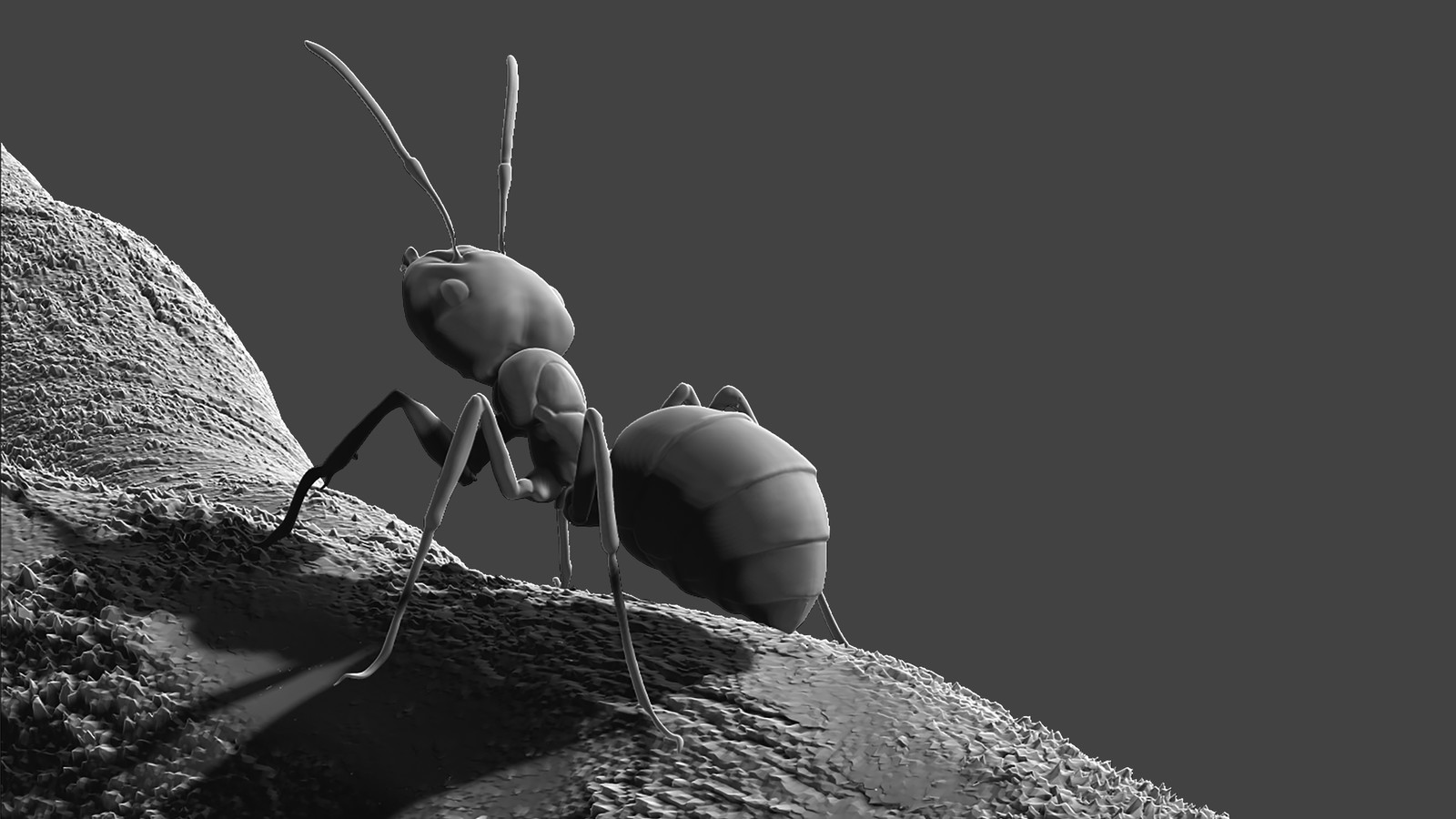 ZBrush Blockout
