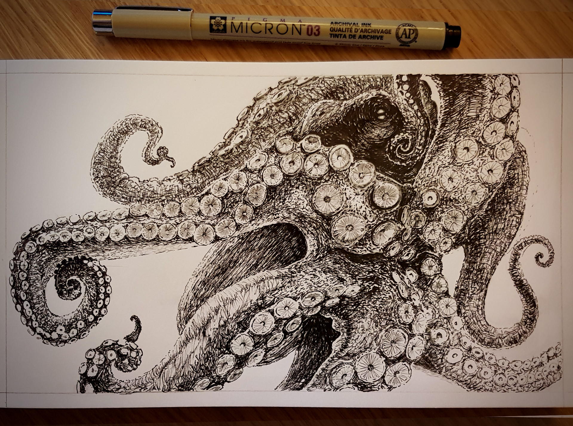 Octopus Sketch