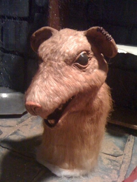 Shawn Darling Henson Puppet For The Cw S The Witching Hour Tv Show