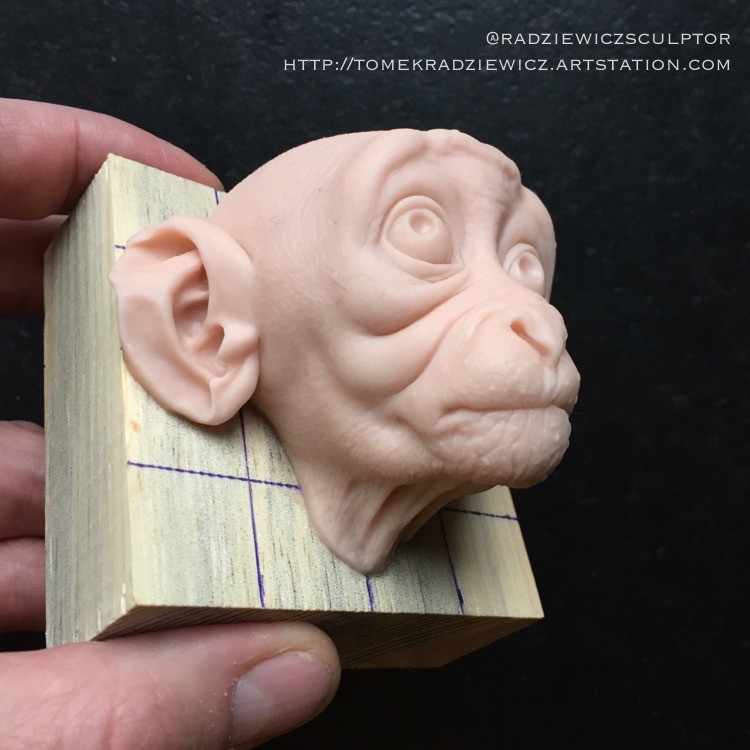 Monkey/super scilpy