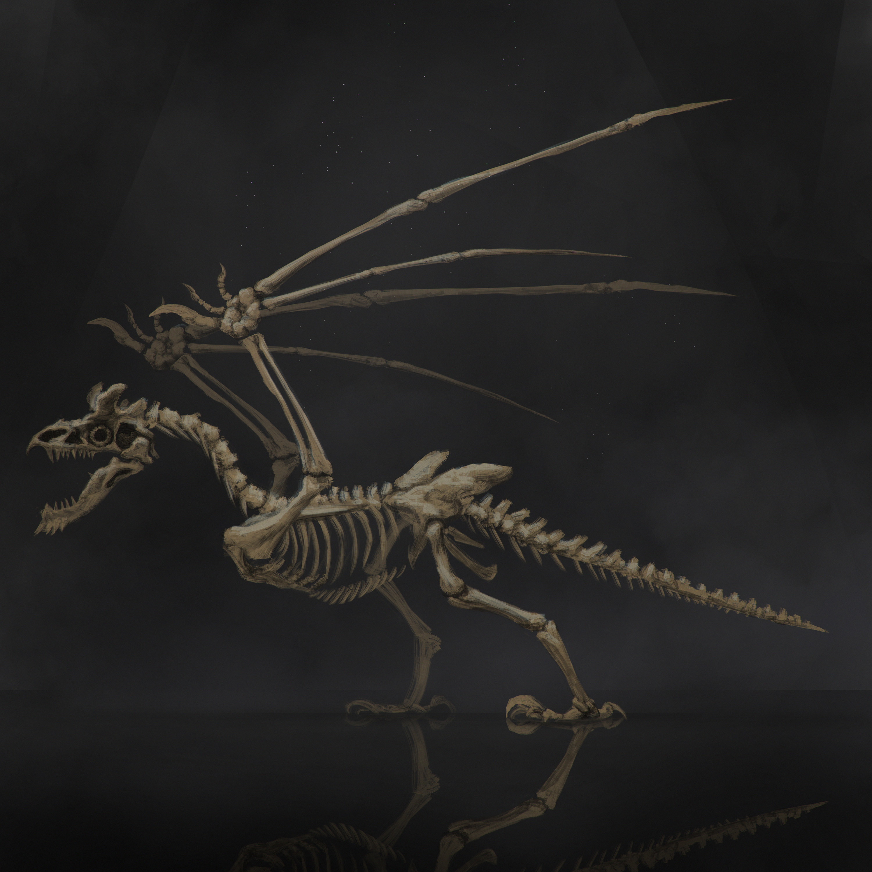 Artstation Viberna Vulgaris Mirko Failoni Wyverne, viverna, ワイバーン, 와이번, виверна, 飞龙. viberna vulgaris mirko failoni