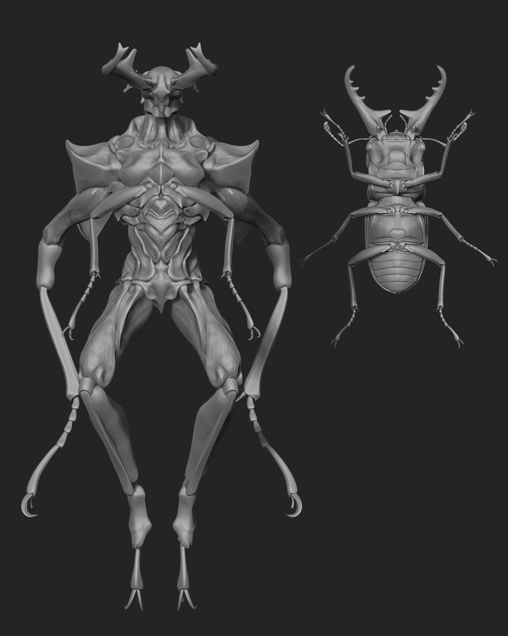 dinyi chen 虫人新作锹甲武士new insect stag beetle warrior