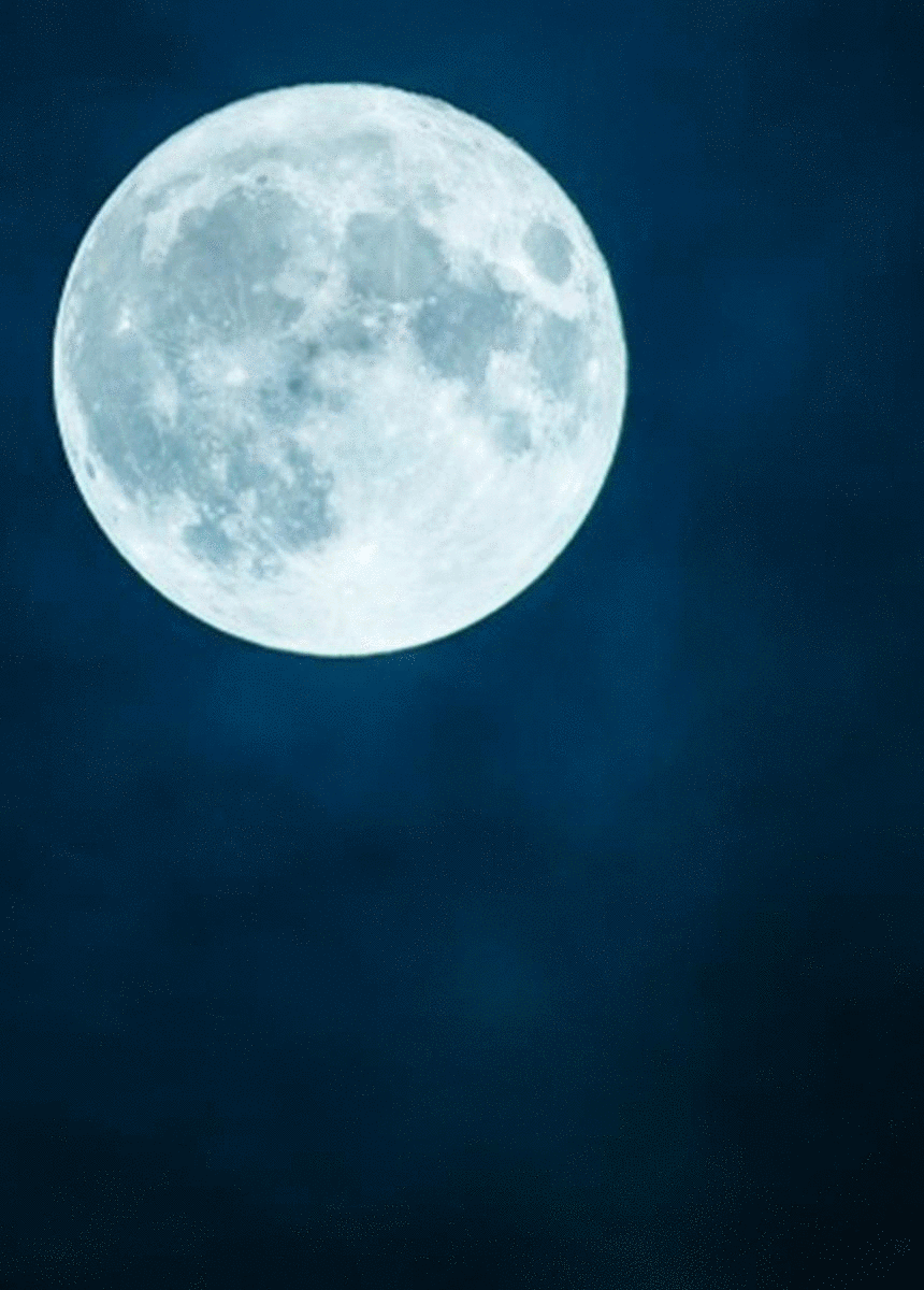 Https Encrypted Tbn0 Gstatic Com Images Q Tbn 3aand9gctqho8gfvbukmdob8hv0ifai4eixfnzu8fblw Usqp Cau