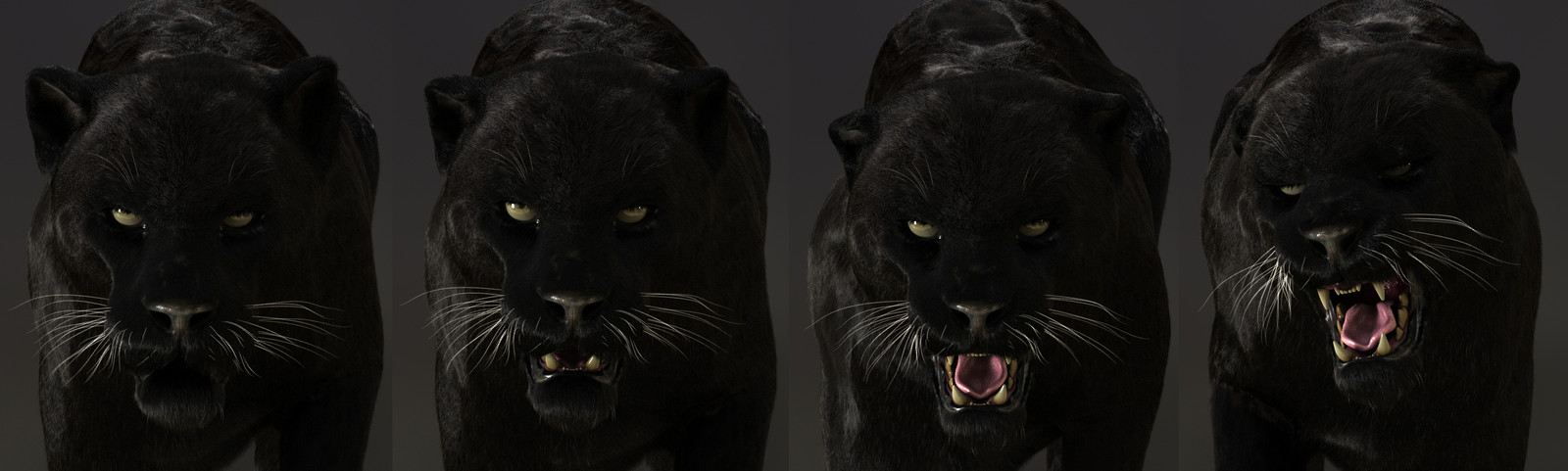 Black panther test