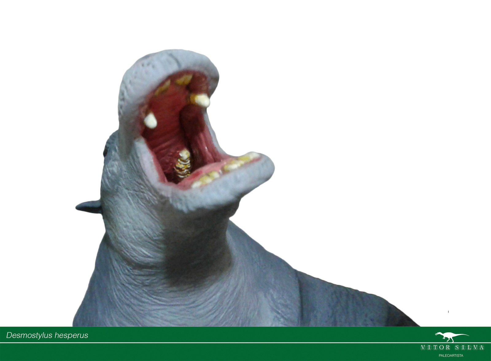 Notice the weird dentition!
