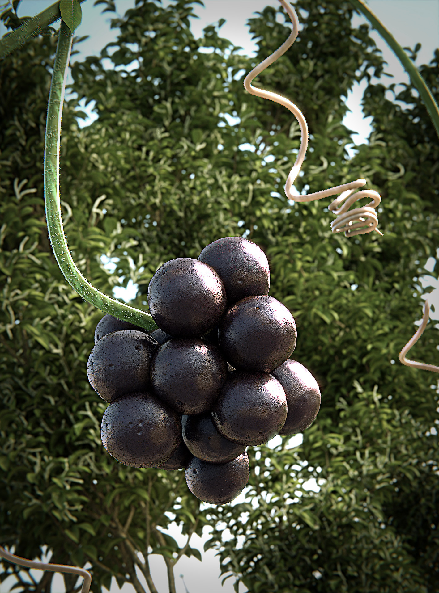 Image: https://cdnb.artstation.com/p/assets/images/images/014/738/535/large/carlos-garcia-siino-grapes-final-nowatermark.jpg?1545241109