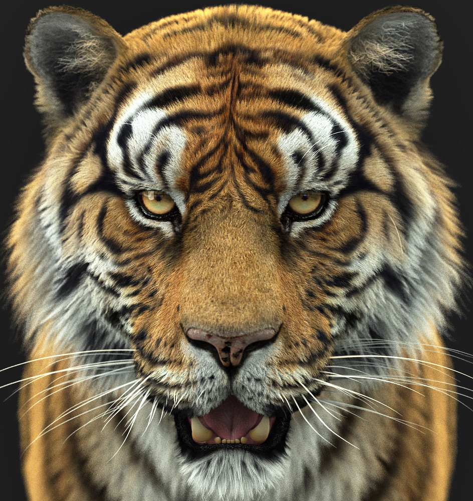 Tiger