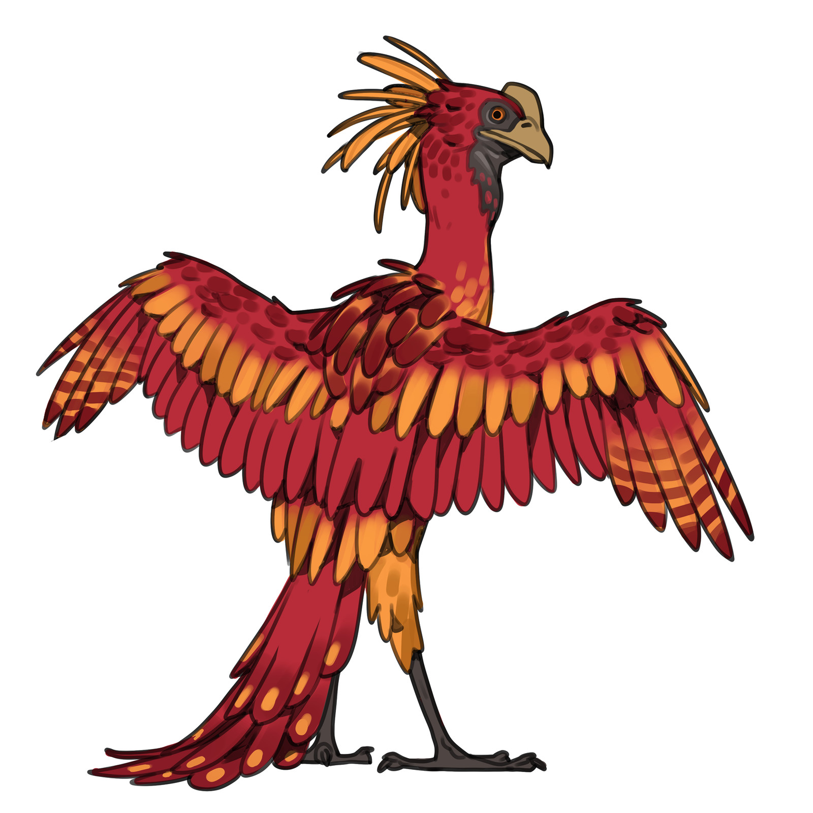 Pheonix