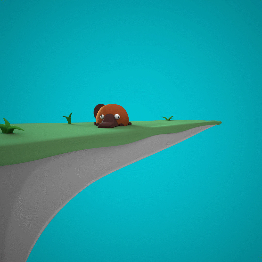 Bouncy Platypus