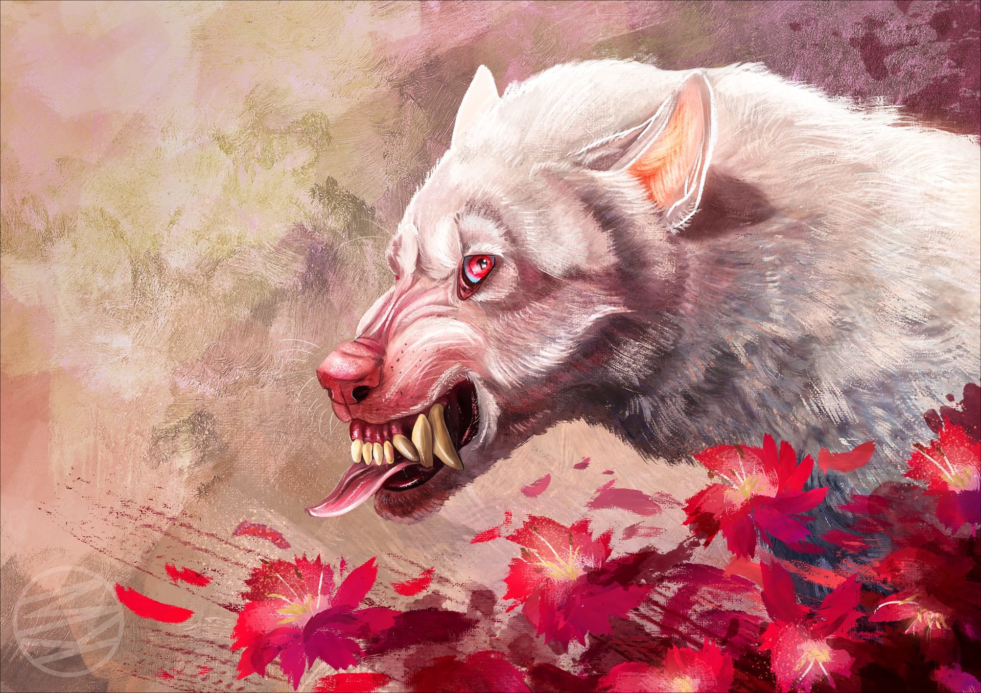 M K Albino Wolf An albino wolf will have a pink nose and pink skin and red or blue eyes. m k albino wolf