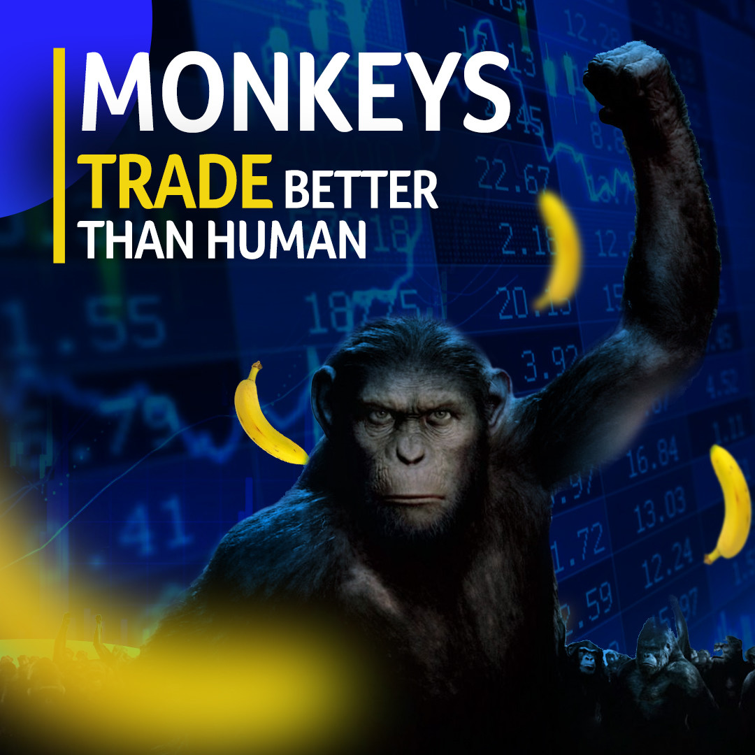 Monkey Trader Social media Banner