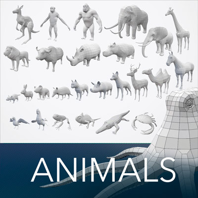animalbase meshfree animalbase meshfree