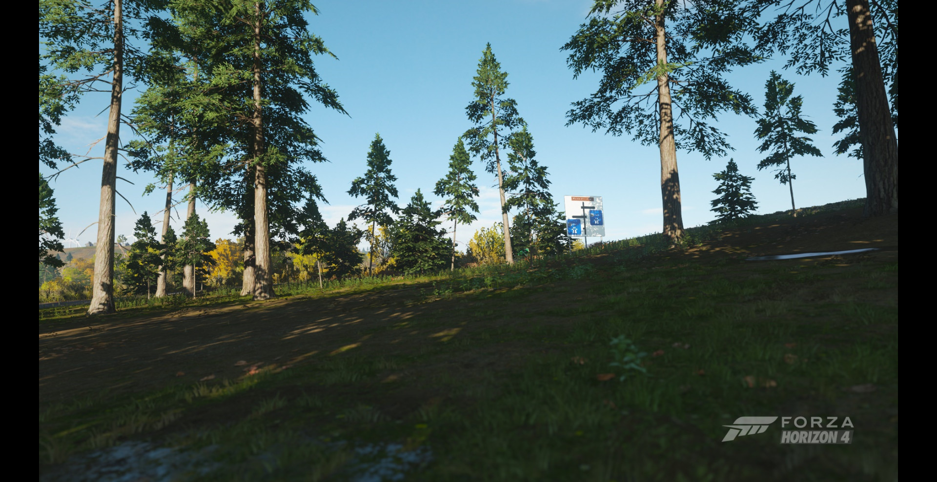 Where Is The Airstrip In Forza Horizon 4 Razvan Prajanu - Forza Horizon 4 - Greendale Airstrip Area