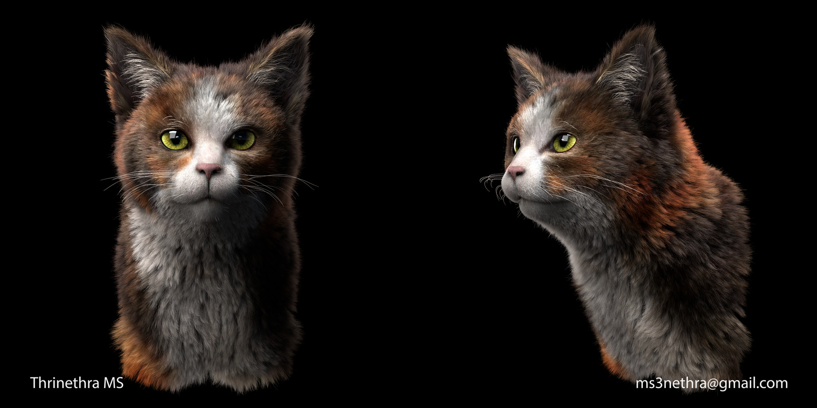 Artstation Cat Fur Xgen Maya Thrinethra Ms