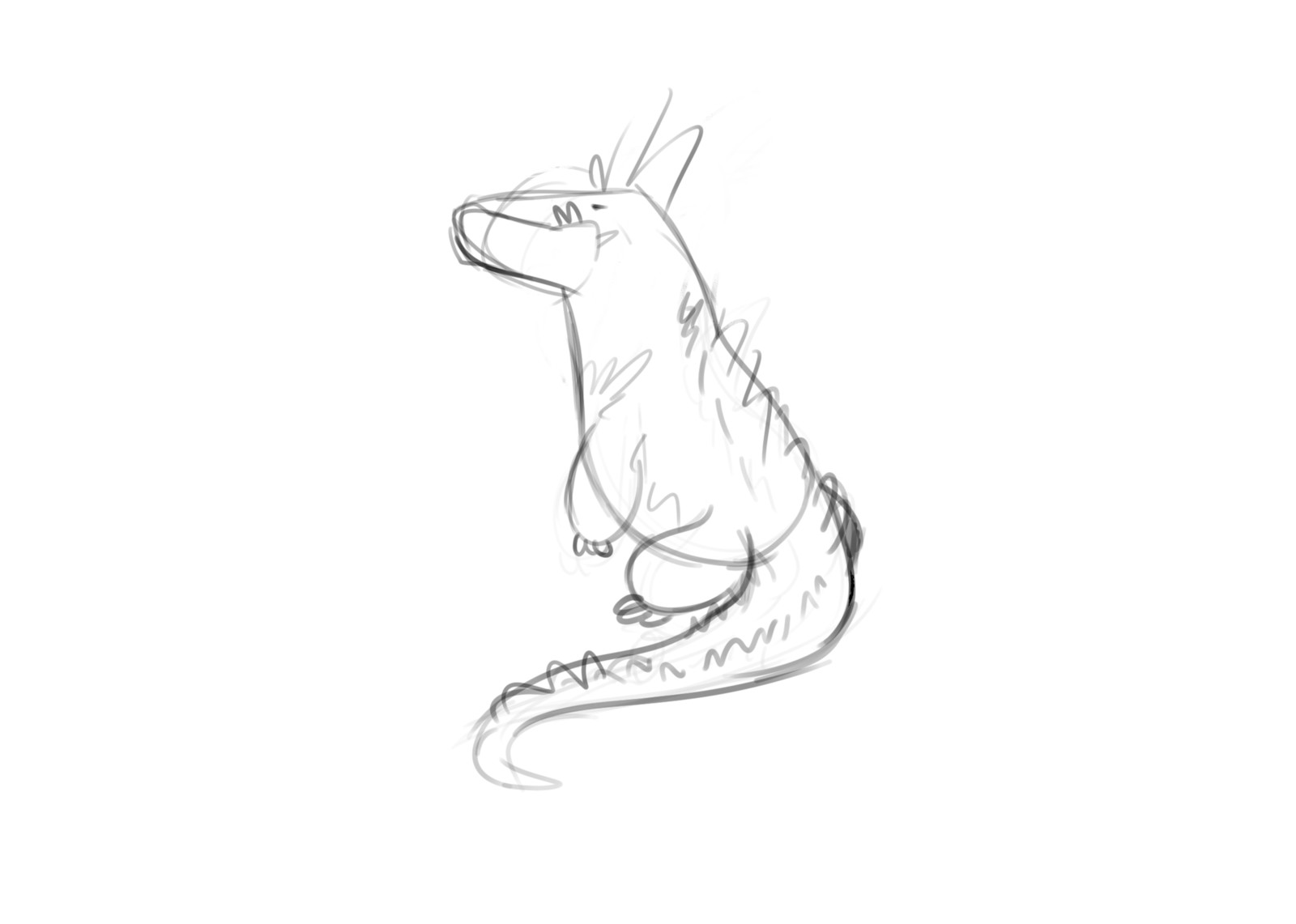 Sketch