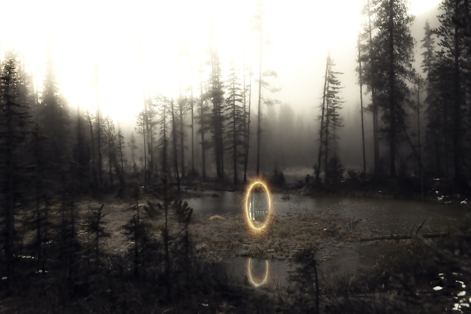 The Portal