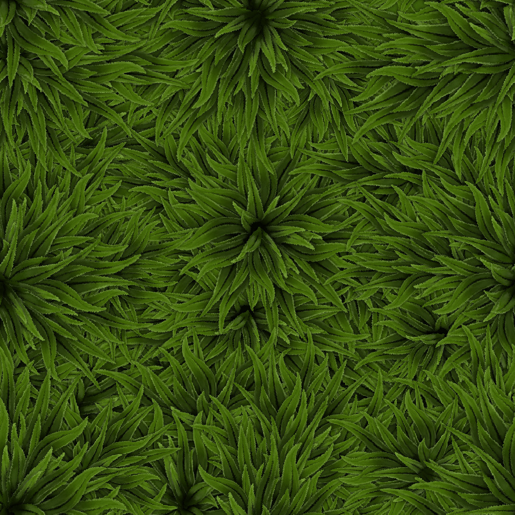 Grass 2d Texture