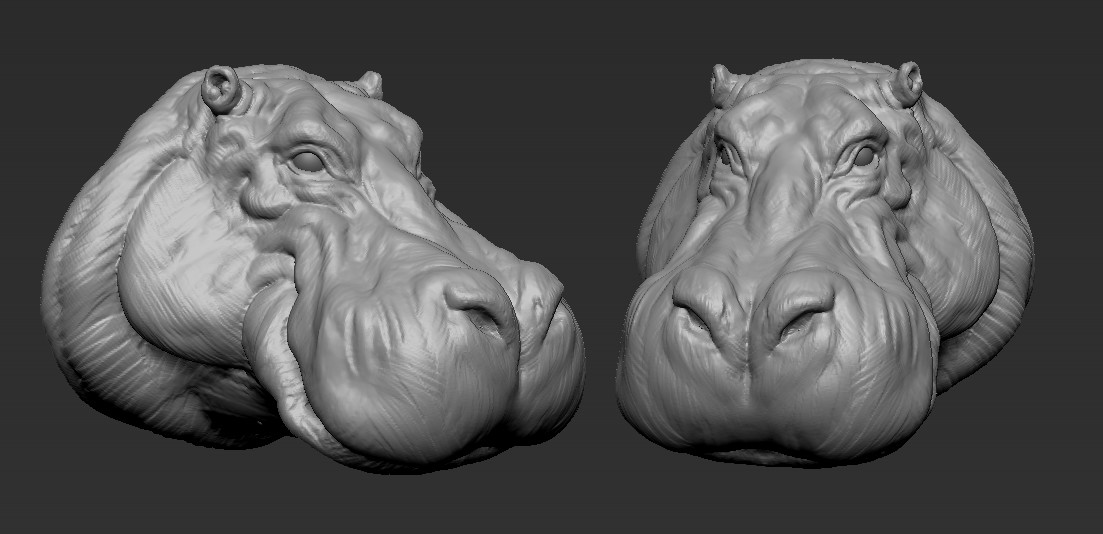 Hippo sculpt.