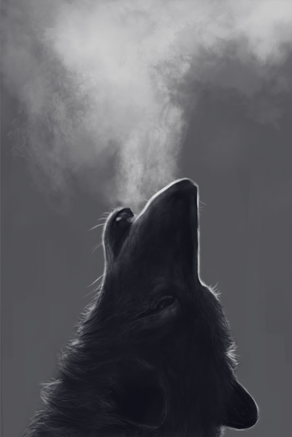 wolf crying