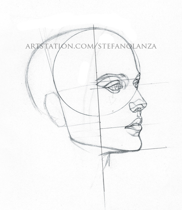 Профиль поэтапно. Схематический рисунок профиль лица. Лицо в профиль рисунок. Рисование головы человека. Схема построения лица в профиль.