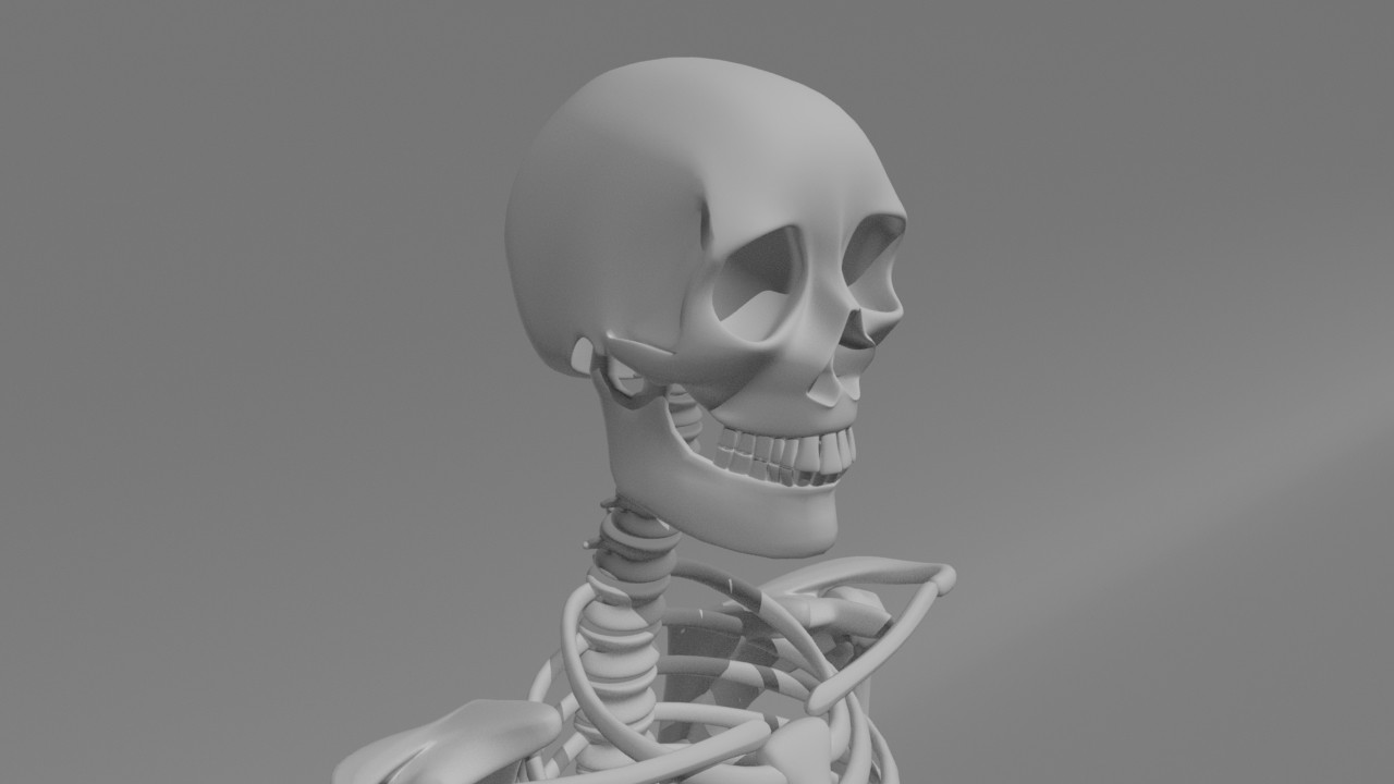 Skull Right