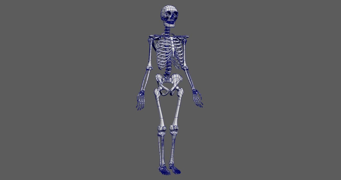 Wireframe