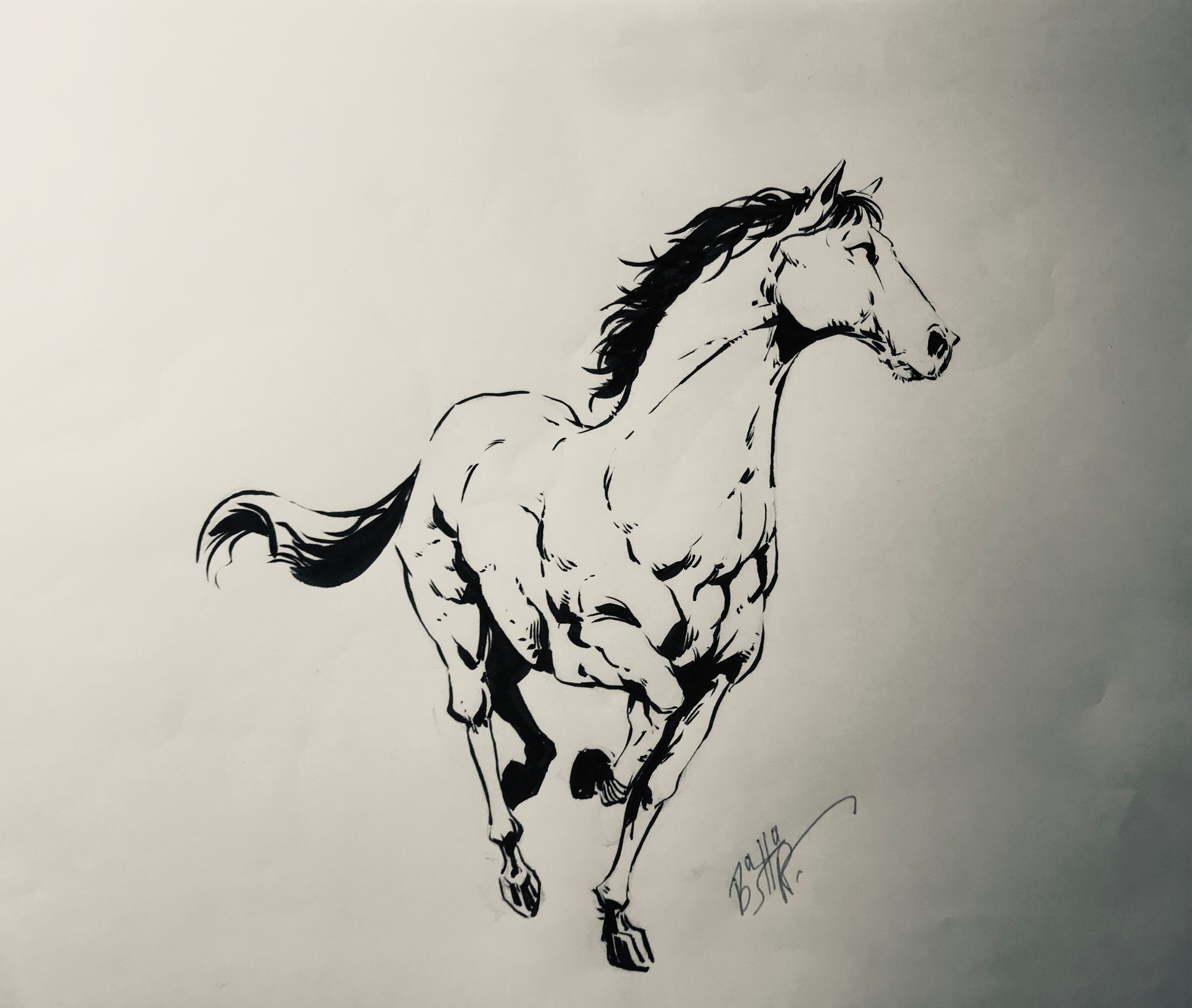 Bashart Studio sketch sketchbook art artist 2019 hours animals