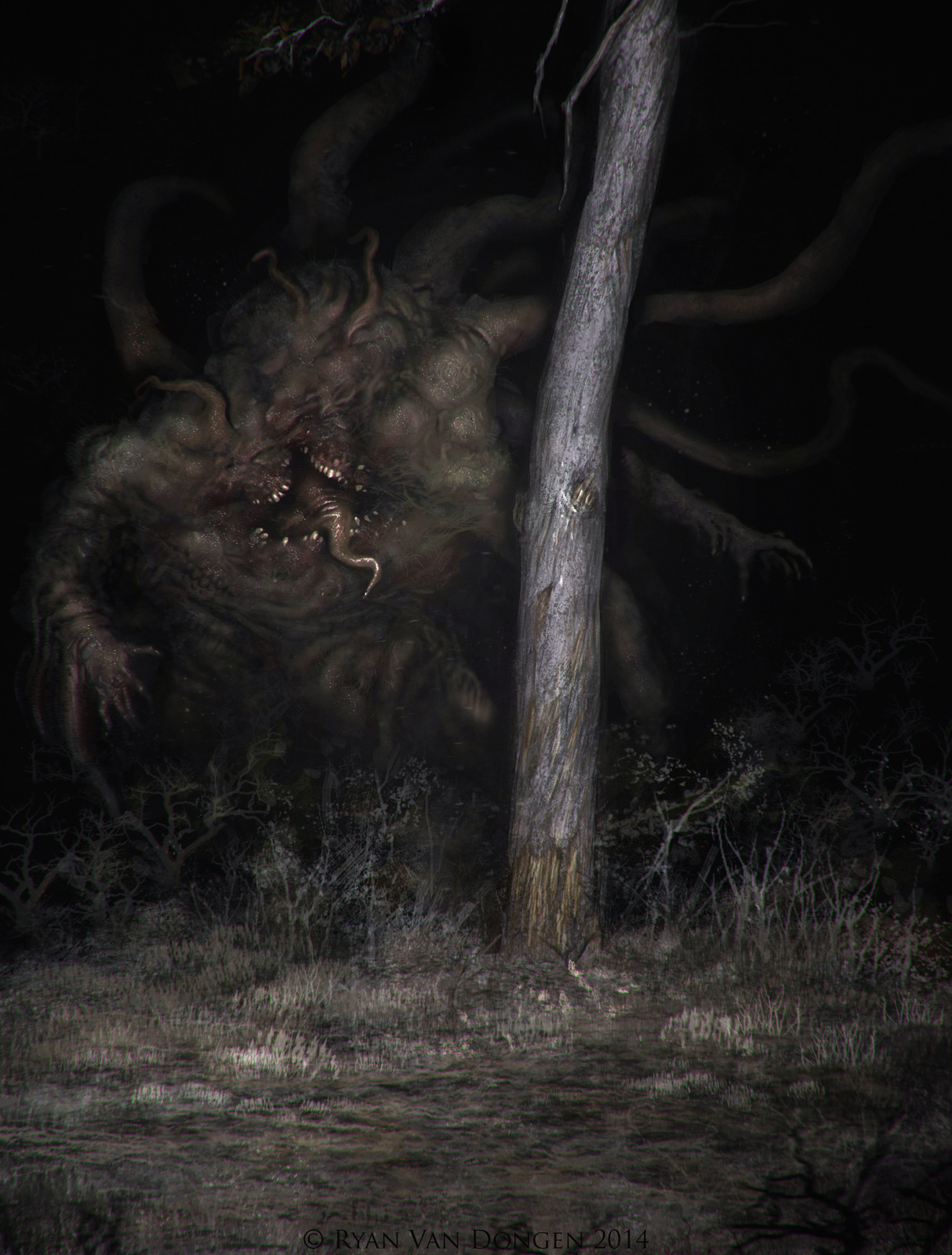 Horror in the Woods
