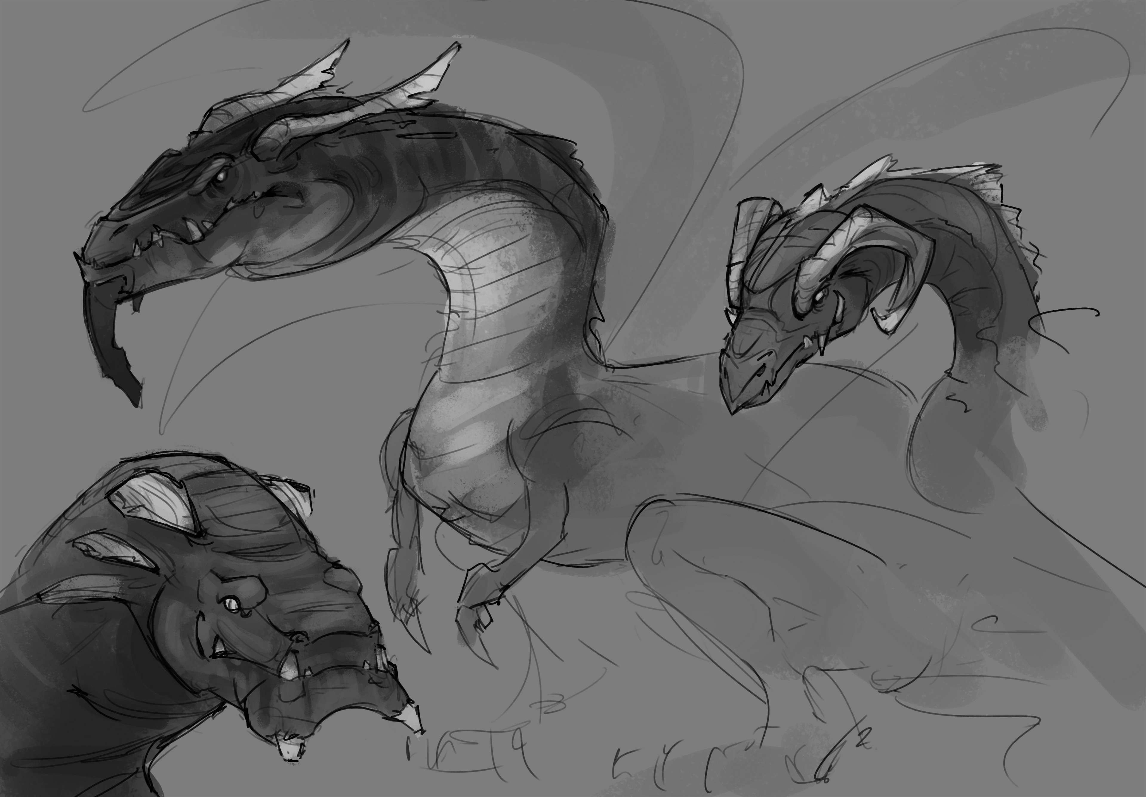 Ideation sketches for dragon character.