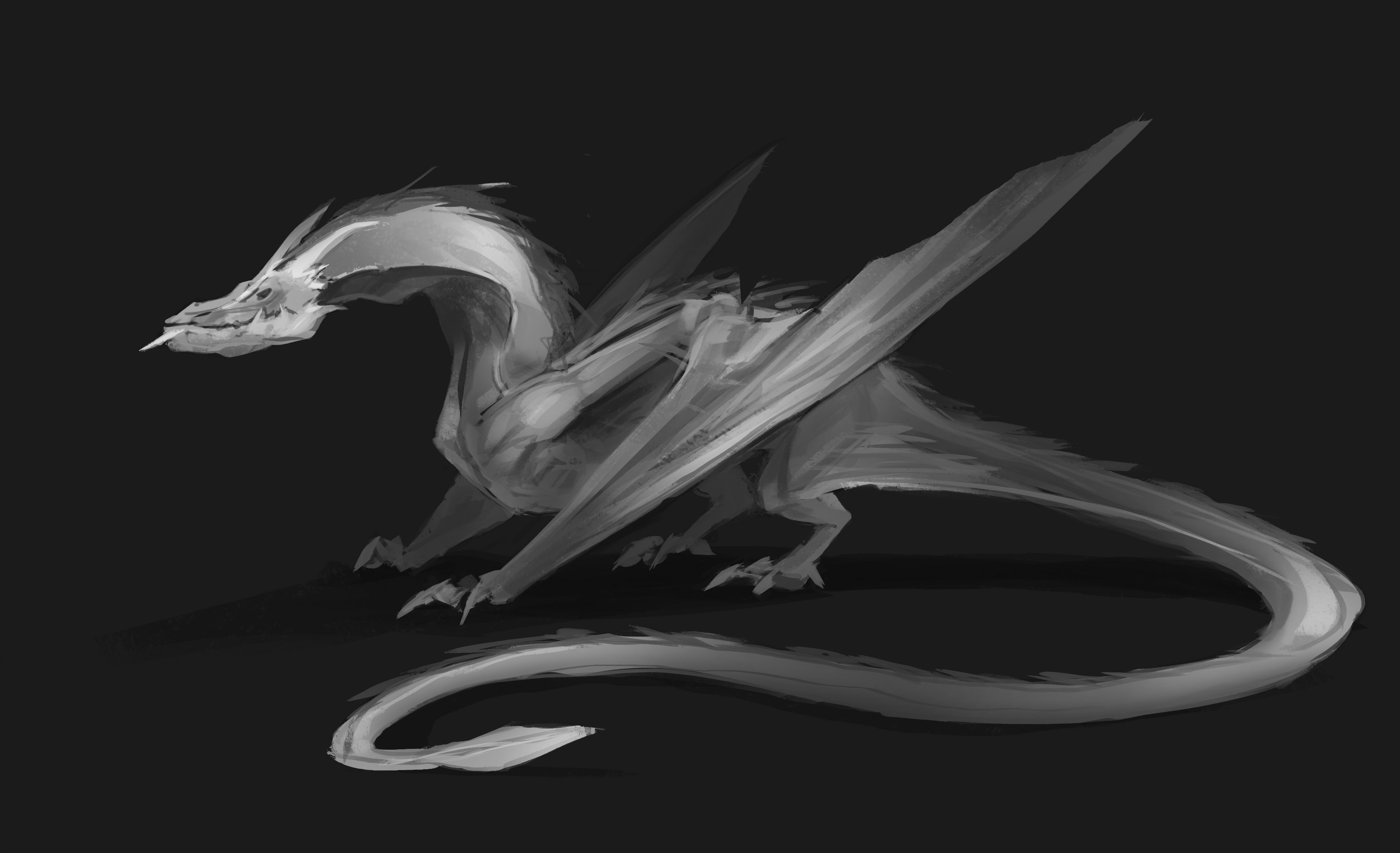 Dragon sketch.